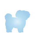山梨県甲府市のペット葬祭・葬儀・法要 ペット霊園 浄土の里　小型犬