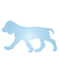 山梨県甲府市のペット葬祭・葬儀・法要 ペット霊園 浄土の里　大型犬